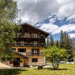 Hotel Stella Alpina